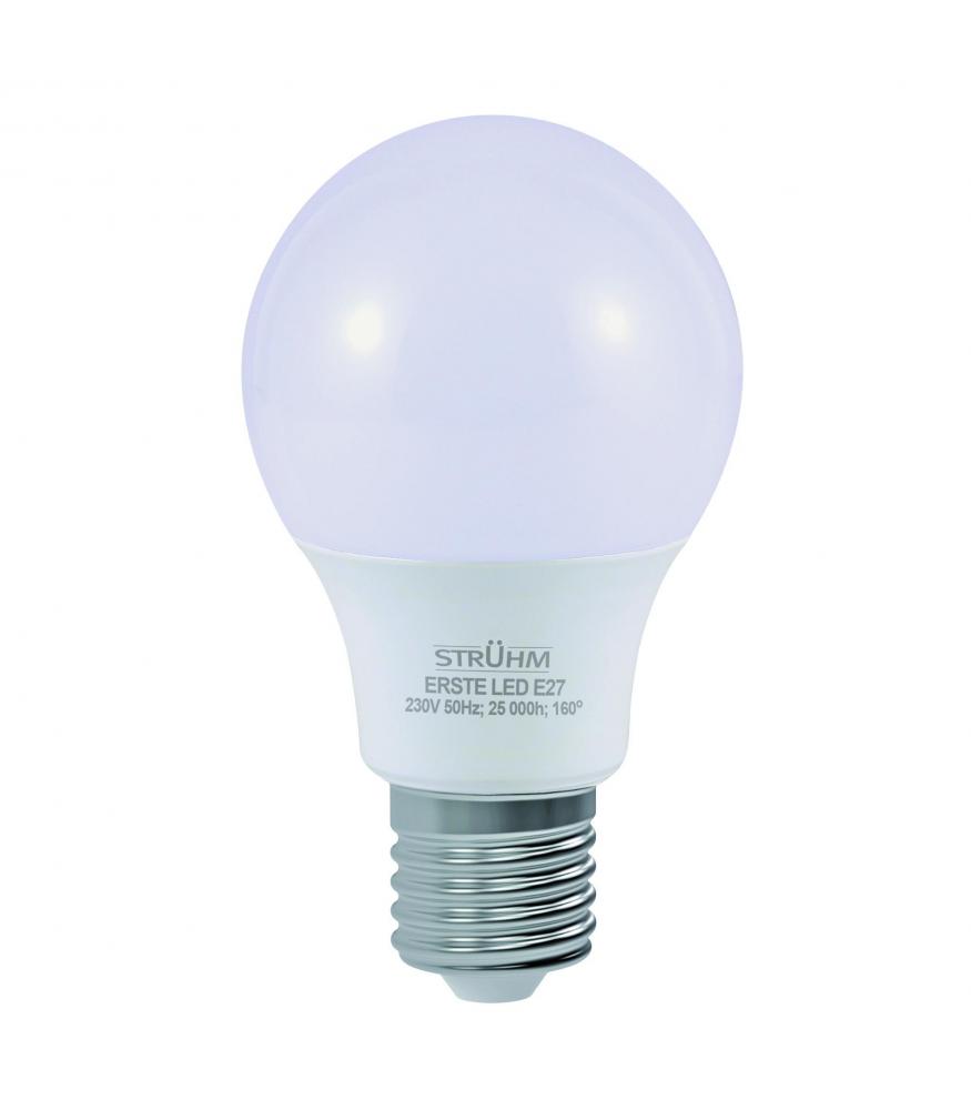 LED Light Bulb ERSTE E27 8W 10W 12W 14W warm white and neutral white-LED Light Bulbs-Svetila.eu
