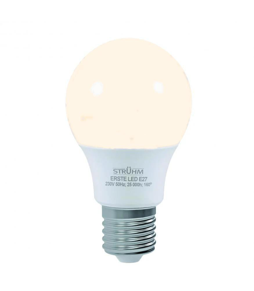 LED Light Bulb ERSTE E27 8W 10W 12W 14W warm white and neutral white-LED Light Bulbs-Svetila.eu