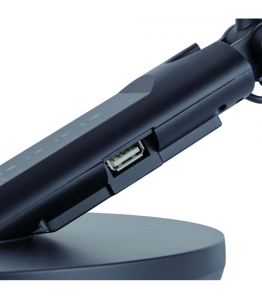 LED RAMZES for most demanding users black-Lighting for every space-Svetila.eu