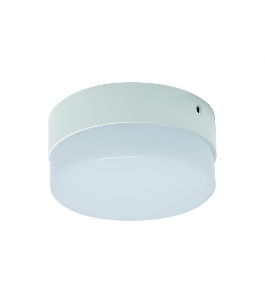 LED ROBIN C and D LED Lights 6W to 24W NW-Lighting for every space-Svetila.eu