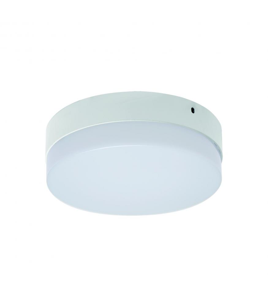 LED ROBIN C and D LED Lights 6W to 24W NW-Lighting for every space-Svetila.eu