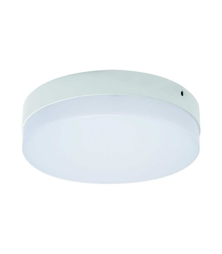 LED ROBIN C and D LED Lights 6W to 24W NW-Lighting for every space-Svetila.eu