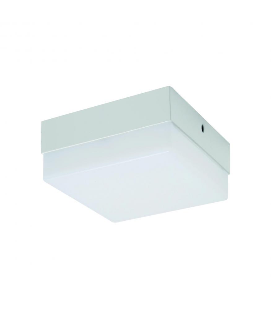 LED ROBIN C and D LED Lights 6W to 24W NW-Lighting for every space-Svetila.eu