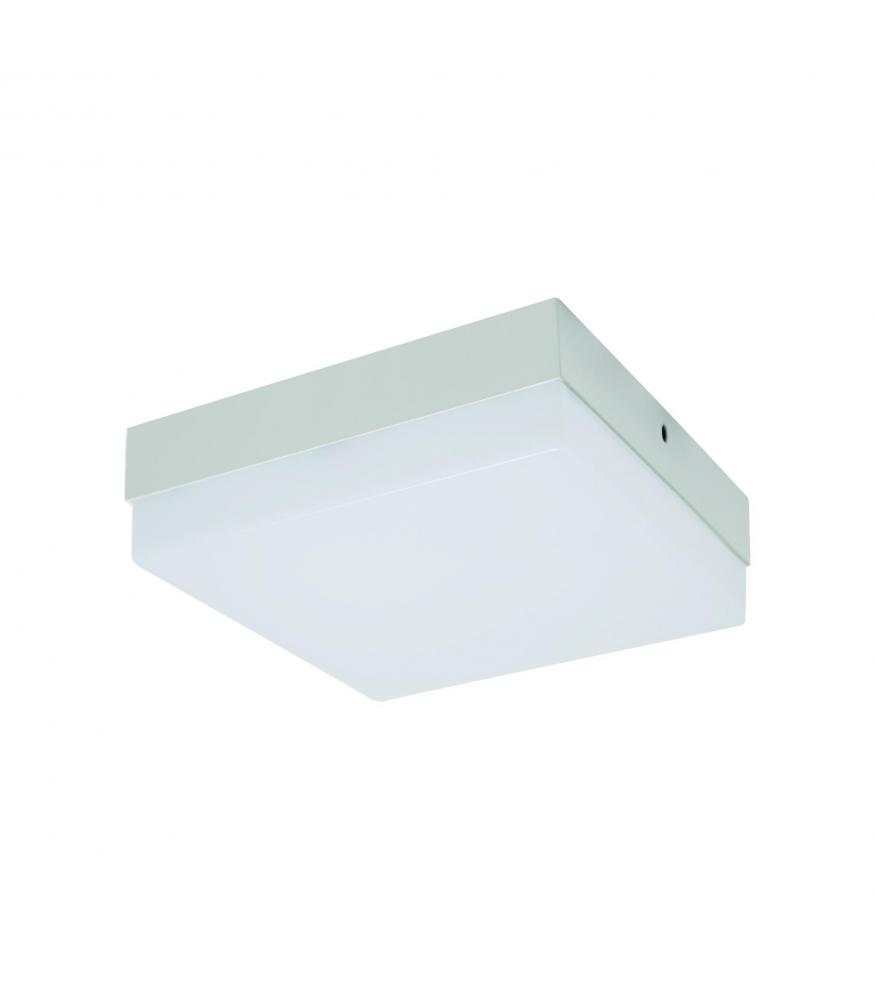 LED ROBIN C and D LED Lights 6W to 24W NW-Lighting for every space-Svetila.eu