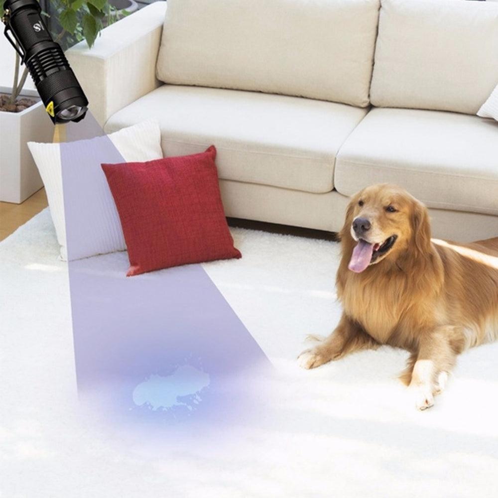 Mini LED Zoomable UV Flashlight Ultraviolet Flashlight Black Light Fake Bill and Urine Stain Detector- Battery Operated-UV Flashlight-Svetila.eu
