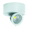 COB LED IGOR C and D 6W and 9W NW-Lighting for every space-Svetila.eu
