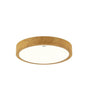 LED ATUT C 18W 24W 36W NW-Lighting for every space-Svetila.eu