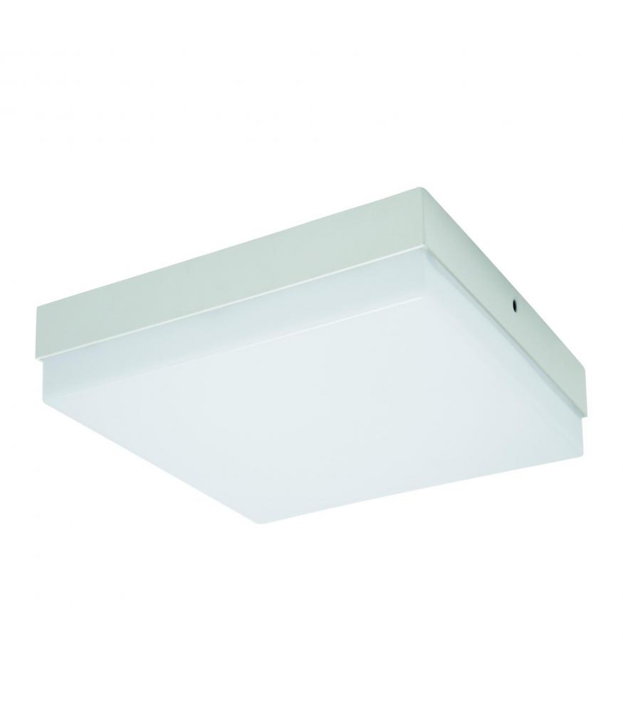 LED ROBIN C and D LED Lights 6W to 24W NW-Lighting for every space-Svetila.eu
