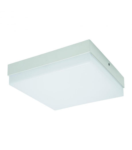 LED ROBIN C and D LED Lights 6W to 24W NW-Lighting for every space-Svetila.eu